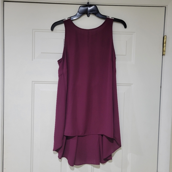 The Limited Tops - Maroon long blouse